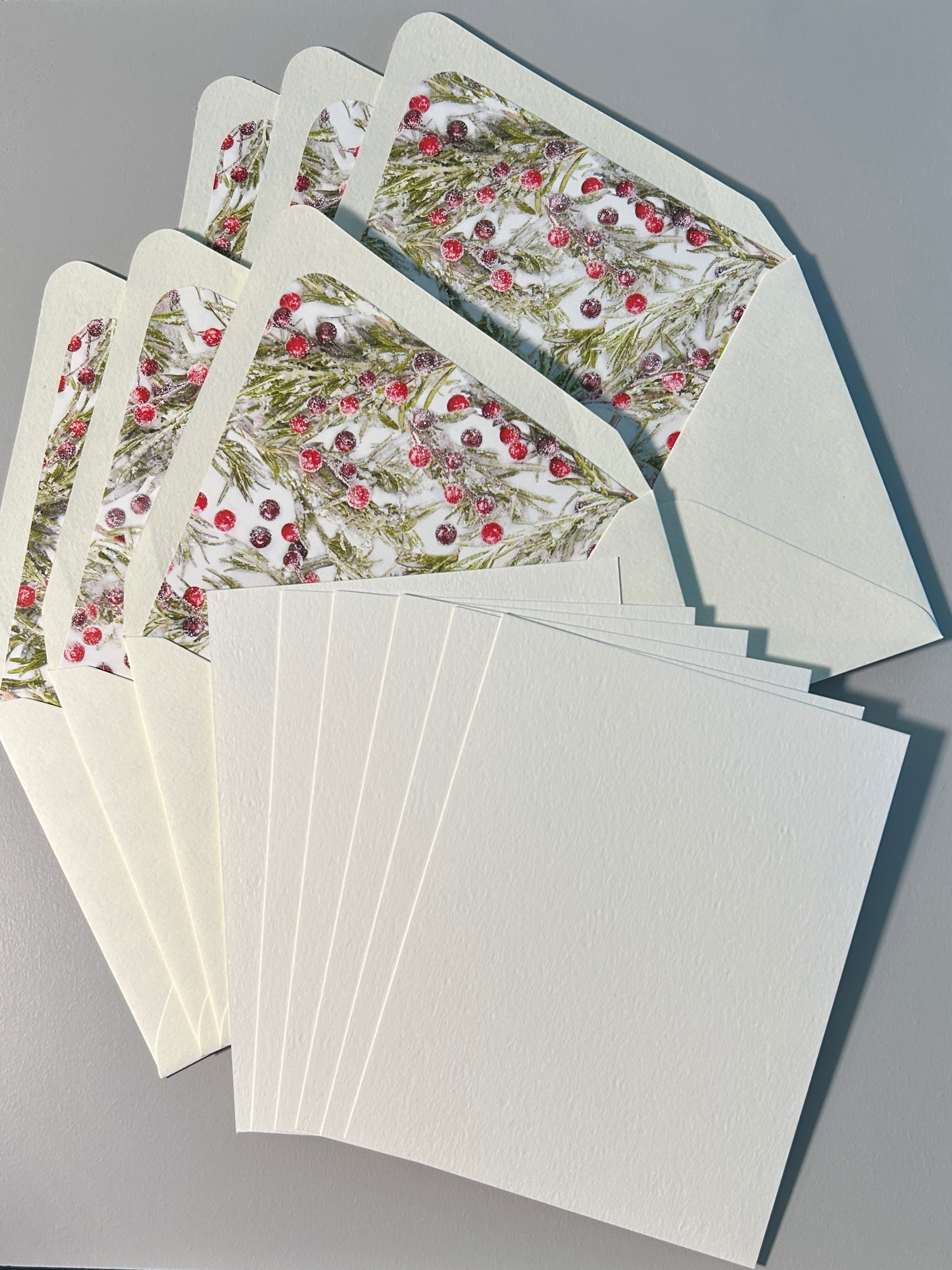 Holiday Notecard Set from Rand Jackson