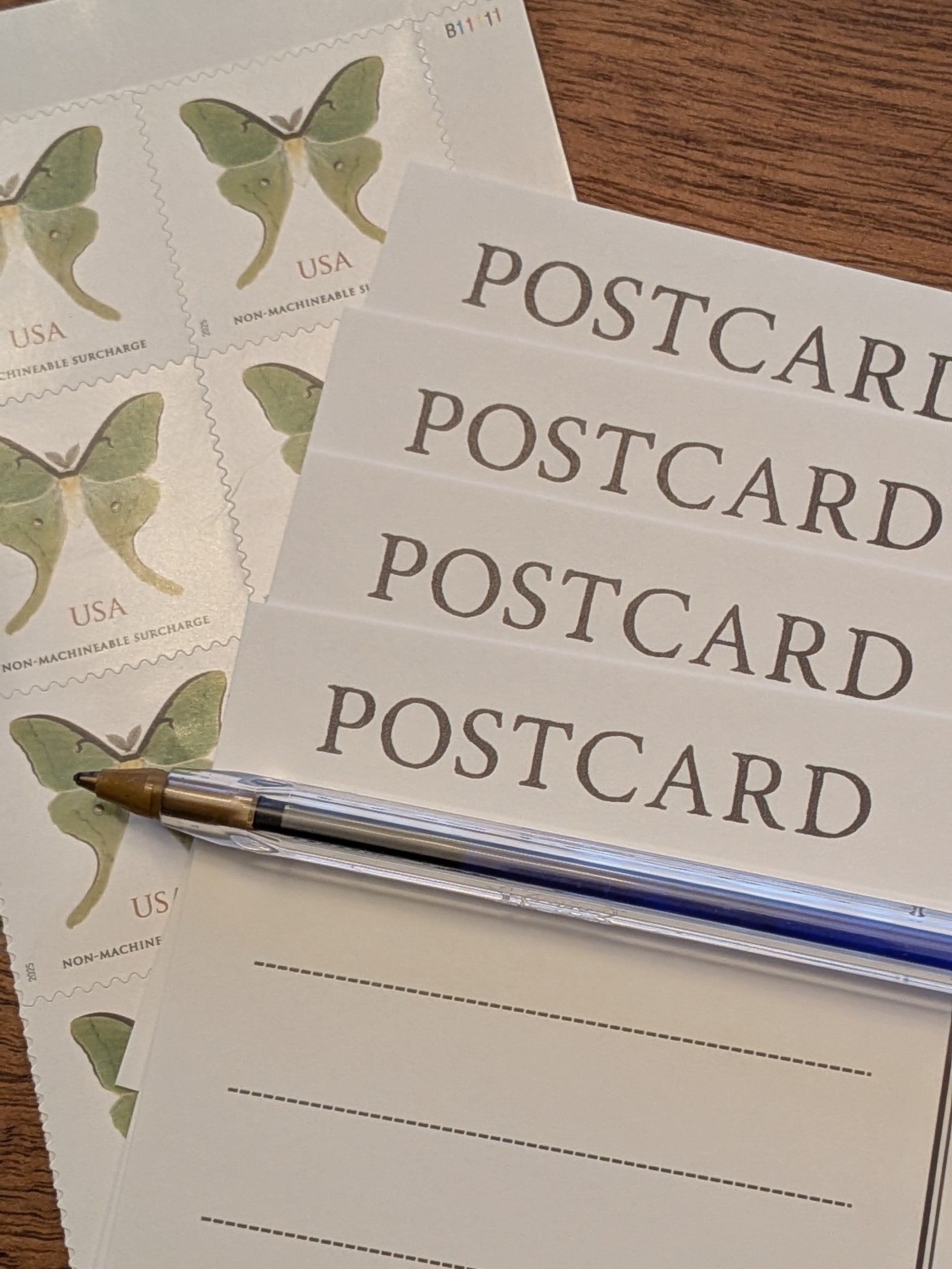 Next Month's Post Card from Holly Cook Photography