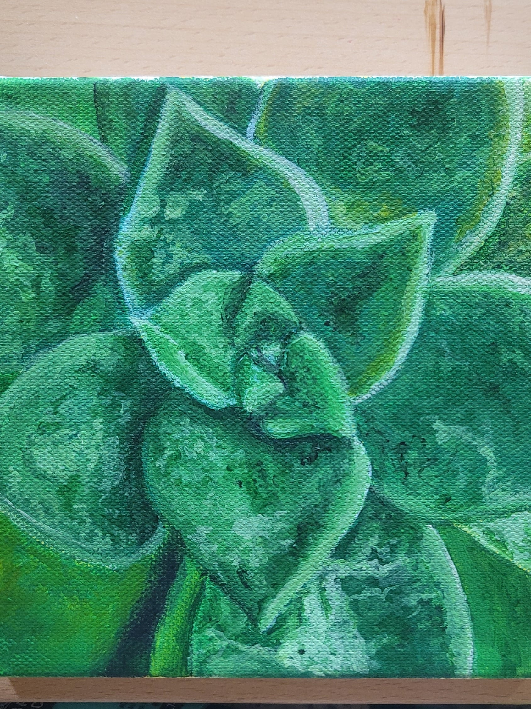 What the F*cculent? Have a Succulent! from S.Ditto Art