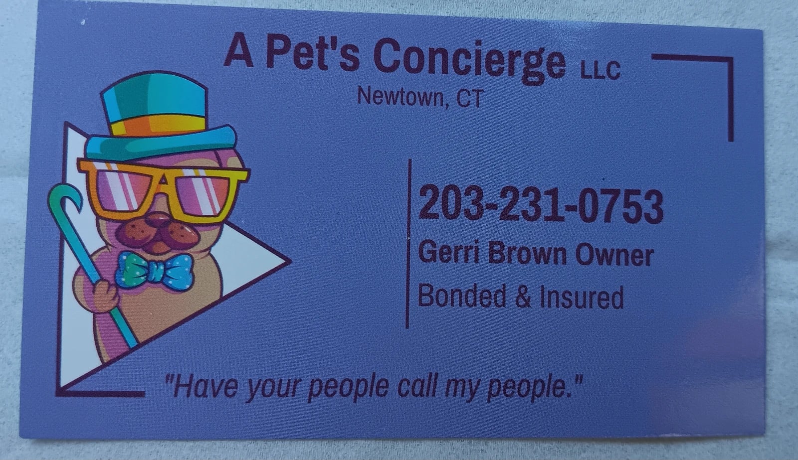 A Pet's Concierge LLC logo
